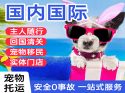阿勒泰雪都空运公司国际宠物托运 【国
