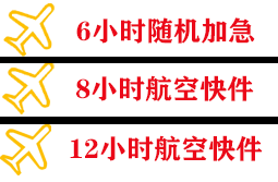 阿勒泰雪都空运公司快递公司,专业空运当天件