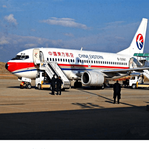 阿勒泰雪都空运公司航空快运业稳步发展的原因是什么？